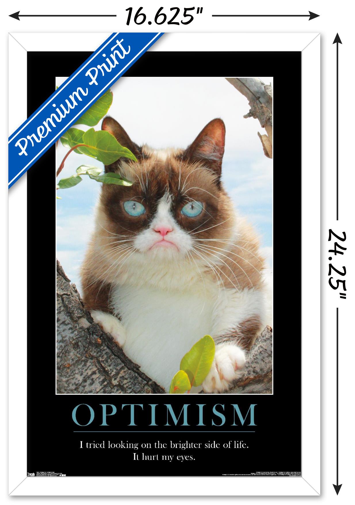 Grumpy Cat - The Brighter Side Wall Poster, 14.725" x 22.375", Framed