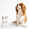 thumbnail image 3 of Isle of Dogs Coature No. 51 Heavy Management Dog Conditioner for Damaged Hair, 250ml, 3 of 3