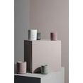 thumbnail image 3 of Blomus 65656 Fragra Large Withered Rose Candle - Sea Salt & Sage, 3 of 3