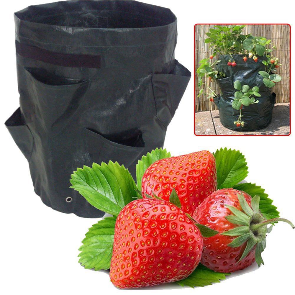 Garden Hanging Grow Bags Planting Pouch Potato Strawberry Planter Flower Bags 