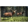 thumbnail image 2 of MAXIMUM GAMES theHunter: Call of the Wild (PC), 2 of 14
