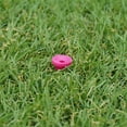 thumbnail image 2 of Tabata Tees Delgados de Plástico GOLF GV0479, Cortos, 1,57 Pulgadas, 40 Mm, Paquete de 12, Colores Surtidos, 2 of 8