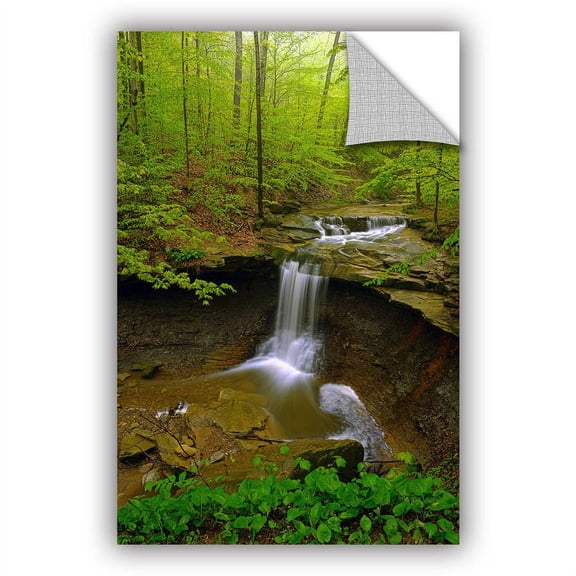 ArtWall Antonio Raggio ' Water Falls ' Art Appealz Removable Wall Art