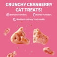 thumbnail image 2 of Golosinas para gatos Just Try Urinary Tract Health, 400 ml, arándanos y salmón, 2 of 9