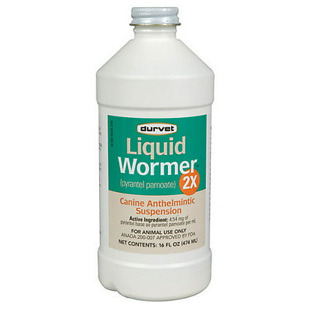 Liquid Canine Wormer 2X 16oz (Best Horse Wormer For Bots)