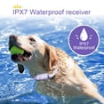 thumbnail image 3 of Collar de adiestramiento para perros Bousnic Shock, impermeable y recargable, 3 of 9