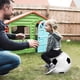 thumbnail image 3 of 1 balón de fútbol inflable de PVC de 45 cm para saltar, ideal para actividades en interiores y exteriores, para niños (blanco, fútbol), 3 of 5