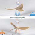 thumbnail image 5 of 52" Modern Ceiling Fan with 3 Warped Blades, Remote Control, 6 Speeds, Noiseless Reversible DC Motor Intelligent Control Ceiling Fan, 5 of 7