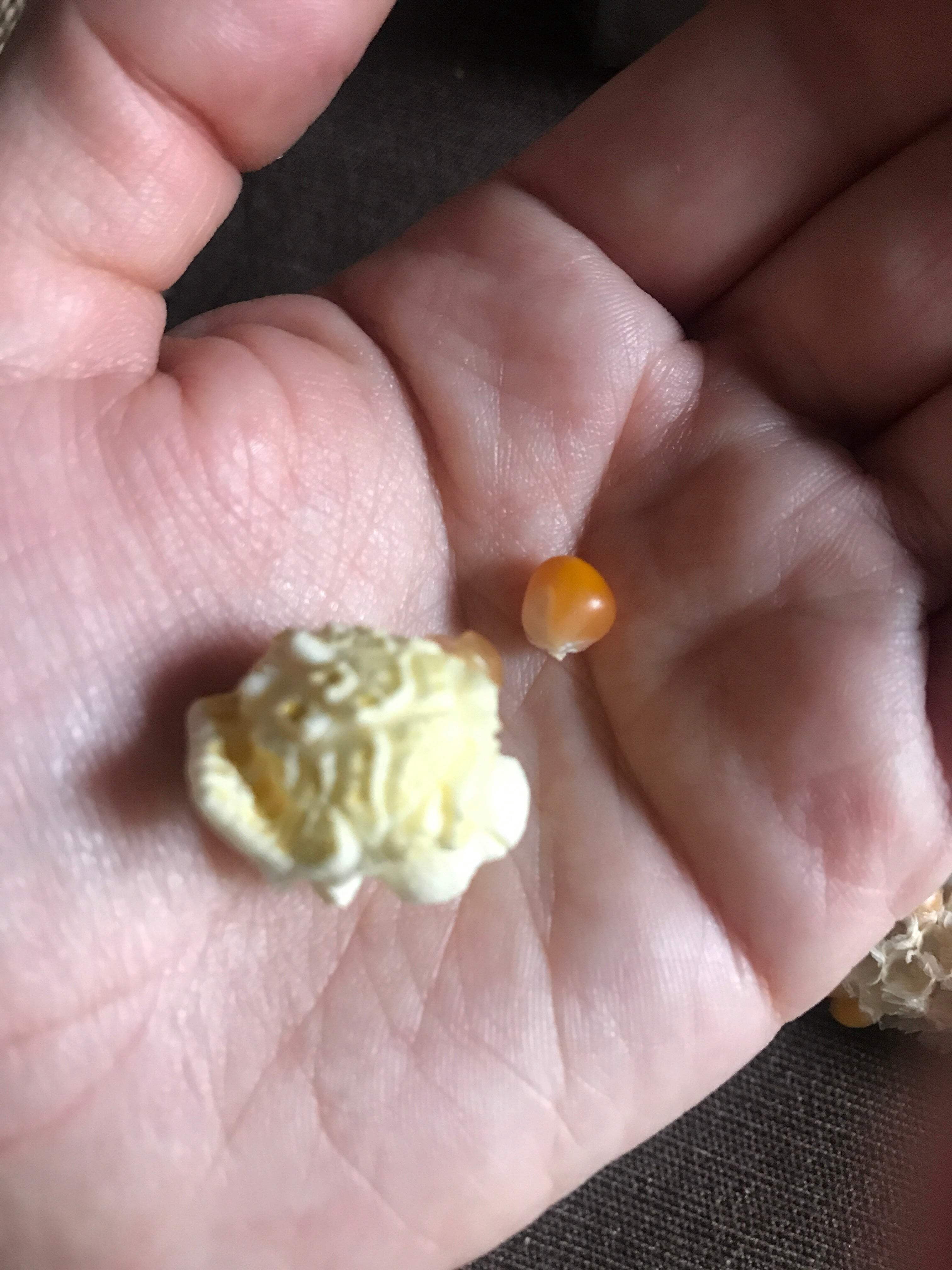 Mushroom Popcorn, 50 lb bag: Farm Fresh, Non-GMO Free Day Popcorn Kernels | Small Farm. Big Flavor