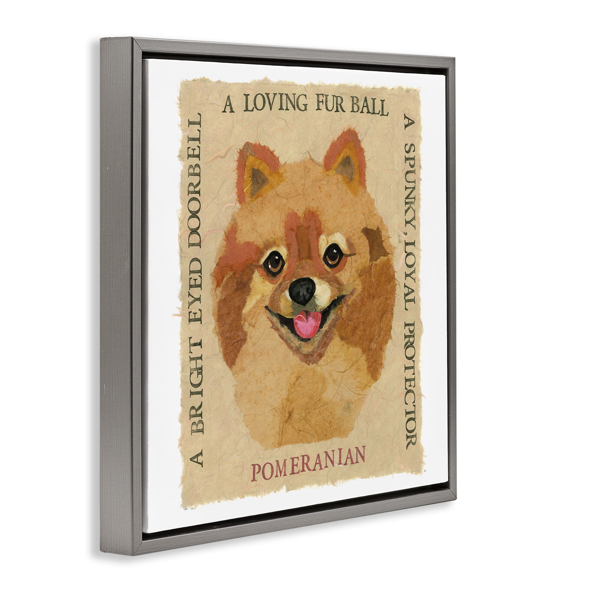 Stupell Industries Fun Pomeranian Pet Phrases Animals Painting Gray Floater Framed Canvas Art Print Wall Art, 18 x 18