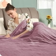 thumbnail image 2 of Heated Blanket 62" x84'' Twin Size with 4 Heating Levels 10 Hours Auto-Off Electric Throw in Cozy Plush Fabric Reversible for Home Bedding Couch - 1-dark Pink, 2 of 15