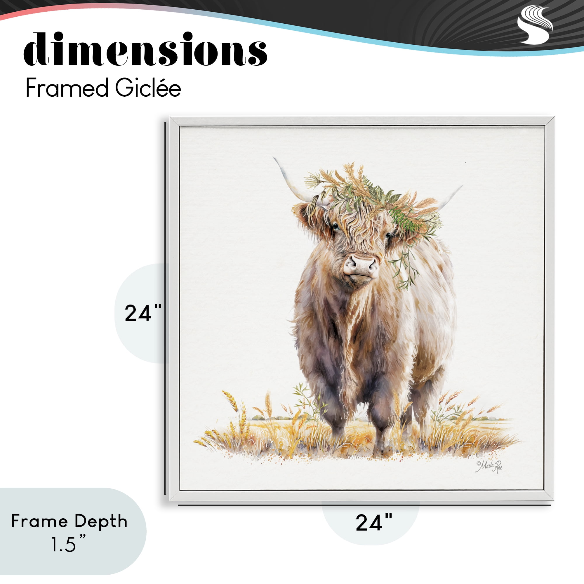 Stupell Industries Ollie the Highland Cattle White Framed Giclee Art, design by Marla Rae