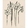 thumbnail image 2 of Great Art Now Ink Sketch Daffodils by Sara Zieve Miller, Canvas Wall Art, 16W x 20H, 2 of 2