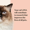 thumbnail image 6 of Wisdom Panel Complete Health and Ancestry for Cats, Cat DNA Test Kit, 6 of 6