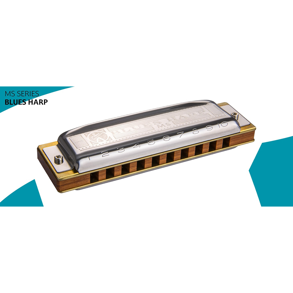 Blues Harp "D"