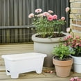 thumbnail image 4 of HONMEET Breathable Root System Balcony Vegetable Planter Self Watering PP 1Pack, 4 of 8