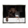 thumbnail image 4 of Stupell Industries Labrador Dog Overlooking Farm Leaning Barn Door Photograph Luster Gray Floating Framed Canvas Print Wall Art, Design by James Dobson, 4 of 5