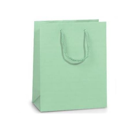 2 Unit Aqua Matte Cub Gift Bags Mini Pk 8x4x10