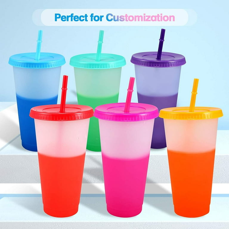 Casewin Reusable Plastic Cups with Lids and Straws, 24 oz & 16 oz