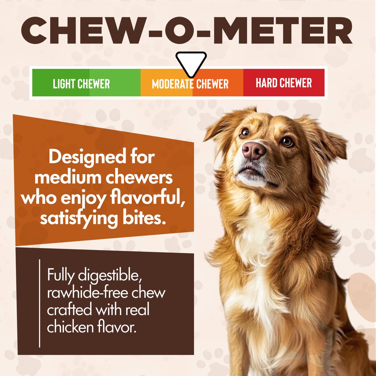Scoochie Pet Chewka Chicken Flavored Plant-Forward Fully Digestible Dog Chew Bone, Large, 6CT