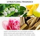 thumbnail image 2 of Tratamiento capilar Fekkai Technician Color Flash Mask 150 ml, 2 of 2