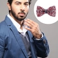 thumbnail image 4 of Minnieouse Lazos de diamantes de imitación, corbatas de cristal, corbata Ornamental brillante, pajarita de moda para novio, accesorio de ropa Accesorios de disfraces ocho, 4 of 6