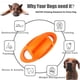 thumbnail image 4 of Juguete para Perro Mordedura Resistente Bola Chirriante Naranja Sunnimix, 4 of 8