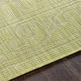 thumbnail image 4 of Surya Pasadena PSA-2355 30 x 87" Runner Traditional Fabric Rug in Sage Green, 4 of 7