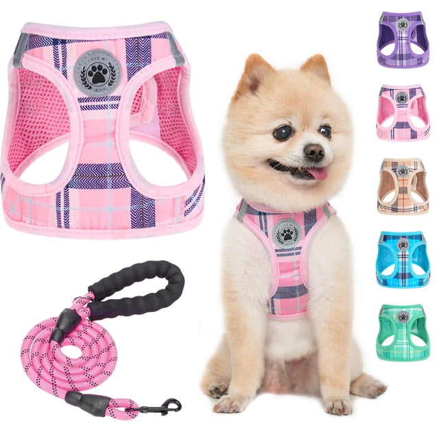 Juego de arneses y correas para perros BEAUTYZOO Step In, sin tirones, para perros pequeños