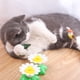 thumbnail image 5 of Scratch Mascota Giratoria Eléctrica Interactive Funny Cat Toy Random Color (Bird), 5 of 9