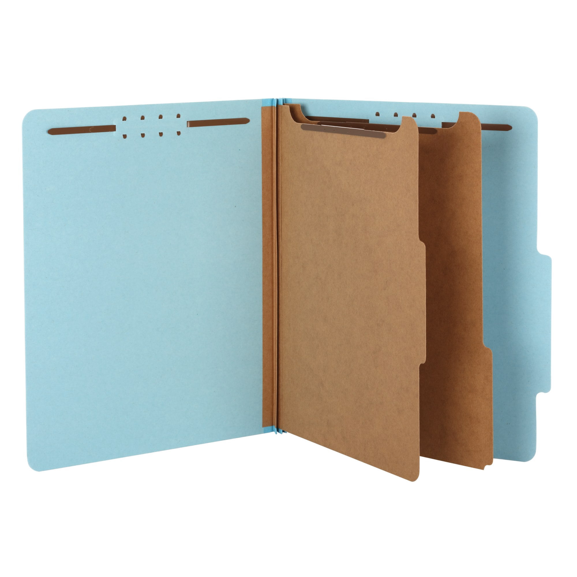 Pendaflex 2-divider Recycled Classification Folders