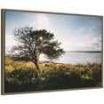 thumbnail image 4 of Kate and Laurel Coastal Serene Sunset Tree Landscape Framed Canvas Wall Art  by Patricia Rae 33 x 23 Sylvie Walnut, Coastal, Landscapes, Nature Art for Wall Decor, Living Room Bedroom, 4 of 8