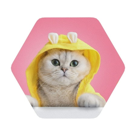 

Matuu A Funny Cat for Cup Coasters Set of 6 Leather Coasters Desk Coasters for Office Measures 4” x 4” Hexagon