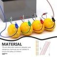 thumbnail image 3 of 1 Set Potato Battery Science Kit Fruit Battery Experiment Kit Physics Science Experiment Device, 3 of 9