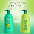 thumbnail image 3 of Garnier Fructis Grow Strong Fortifying Shampoo with Active Fruit Protein, All Hair Types, 33.8 fl oz, 3 of 6