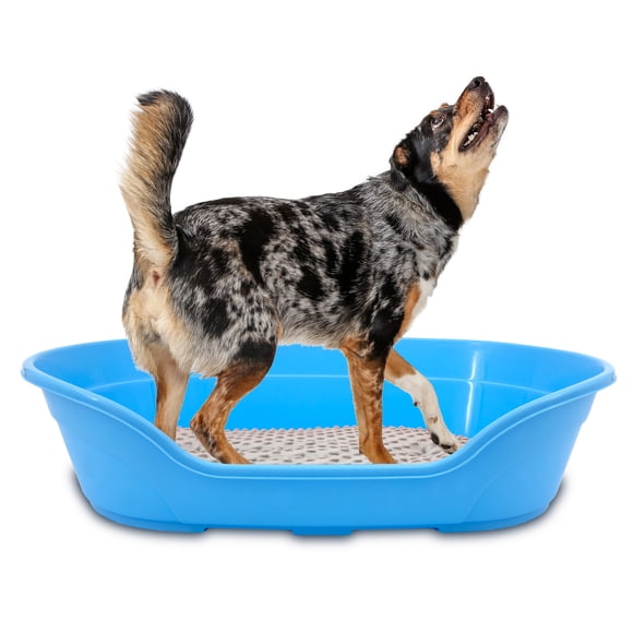 KE WOOW Cama Mediana para Perro, Gato, Conejo y otras Mascotas, Cesta de Plástico, Incluye Colchón Doble Cara, Color Azul KE WOOW Cama Plana con colchón mediana