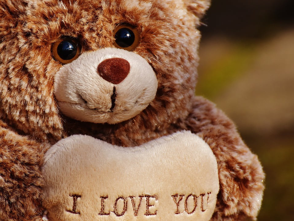 12in Love Teddy Bear