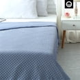 thumbnail image 5 of Cozy Tyme Bisa Weighted Blanket - 8 Pound Dot Velvet Cover 48"x 72" Light Blue, 5 of 10