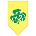 thumbnail image 5 of Pet and Dog Bandana Screen Printed, "Irish Pup", 5 of 10