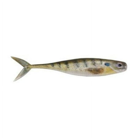 Berkley Power Bait The Champ Minnow Soft Fishing Bait