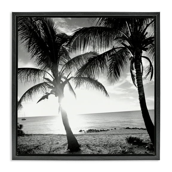 Stupell Industries Sunlit Palm Silhouettes Coastal Photography Black Floater Framed Canvas Art Print Wall Art, 18 x 18