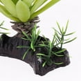thumbnail image 3 of Planta Agua decoración de Césped Yuyangstore Terrario Reptil 11.5x17cm, 3 of 8