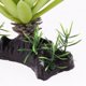 thumbnail image 3 of Planta Agua Decoración de Césped Complimentos Acuario El 11.5x17cm Zulema Reptil Terrario Césped, 3 of 8