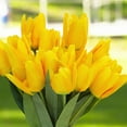 thumbnail image 3 of Enova Home 18 Heads Artificial Silk Tulips Faux Flowers Arrangement in Glass Vase with Acrylic Water for Home Office Decoration (Yellow), 3 of 4