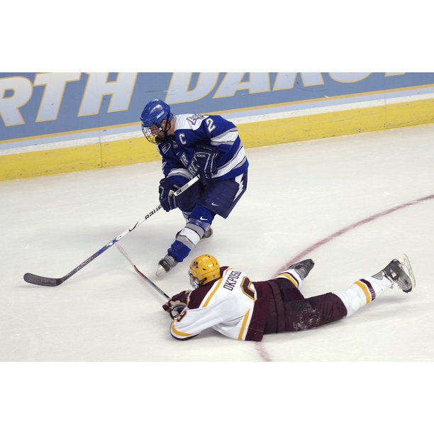 Players Ice Hockey Contact Pass Forward Sticks20 Inch By 30 Inch