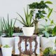 thumbnail image 3 of Flower Pot Base Plant Stand Wooden Plant Stand Holder Flower Pot Rack for Garden Patio, 3 of 4