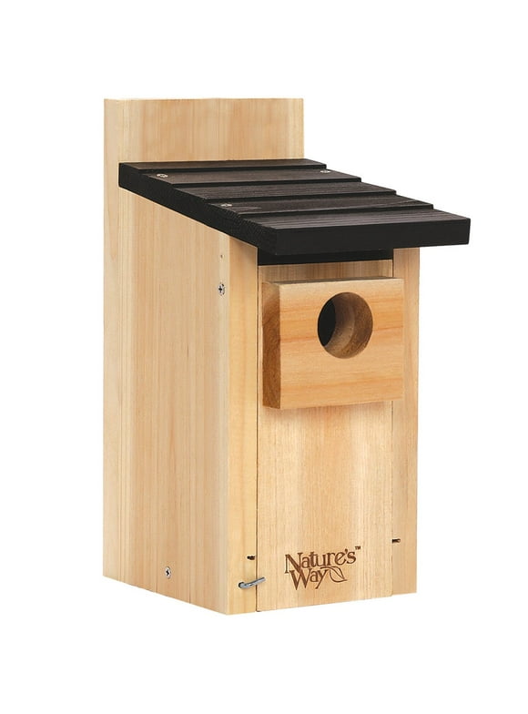 Bird Houses in Bird Feeders and Bird Houses