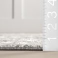 thumbnail image 5 of nuLOOM Machine-Made Deedra Area Rug, 5 of 7