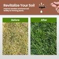 thumbnail image 4 of 16oz Worm Castings for Plants - Makes 32 Gallons of Earthworm Castings Compost Tea, Liquid Worm Casting – Nutrient-Rich Organic Compost Worms for Healthier Soil & Vibrant Plant Growth, 4 of 5