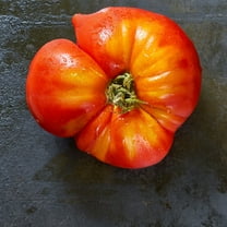 Tomato Seeds - Flame - 500 Mg Packet ~135 Seeds - Solanum lycopersicum - Farm & Garden Vegetable Seeds - Non-GMO, Heirloom, Open Pollinated, Annual